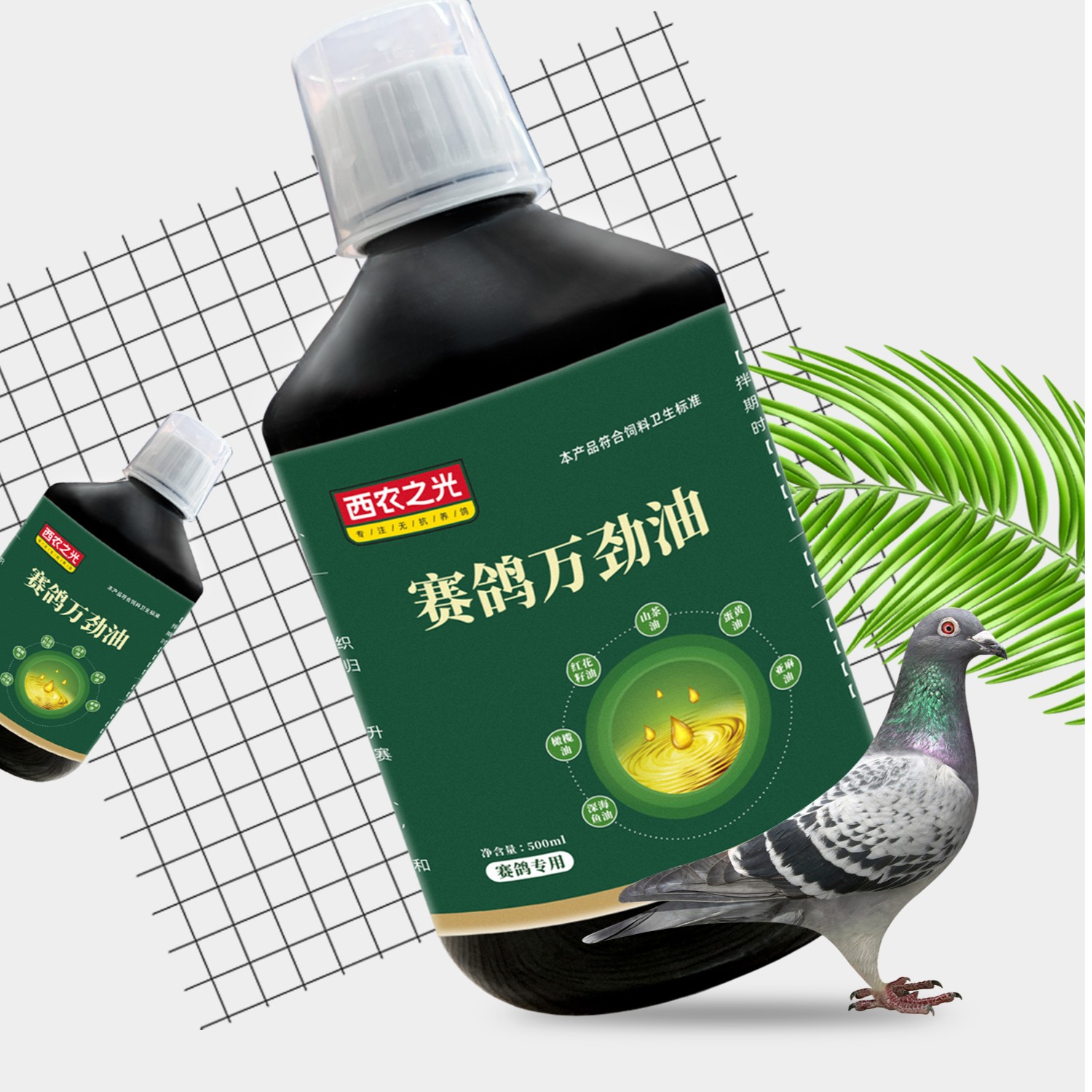 西农之光赛鸽万劲油信鸽用品
