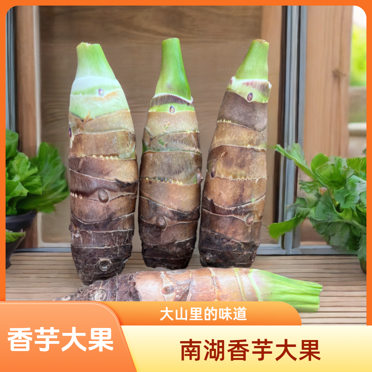 正宗南湖香芋甄选大果