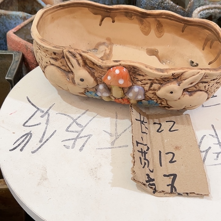 红陶20CM（含）-50CM（不含）