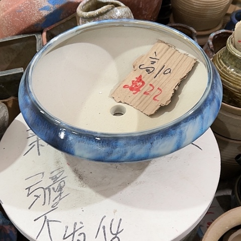 红陶20CM（含）-50CM（不含）