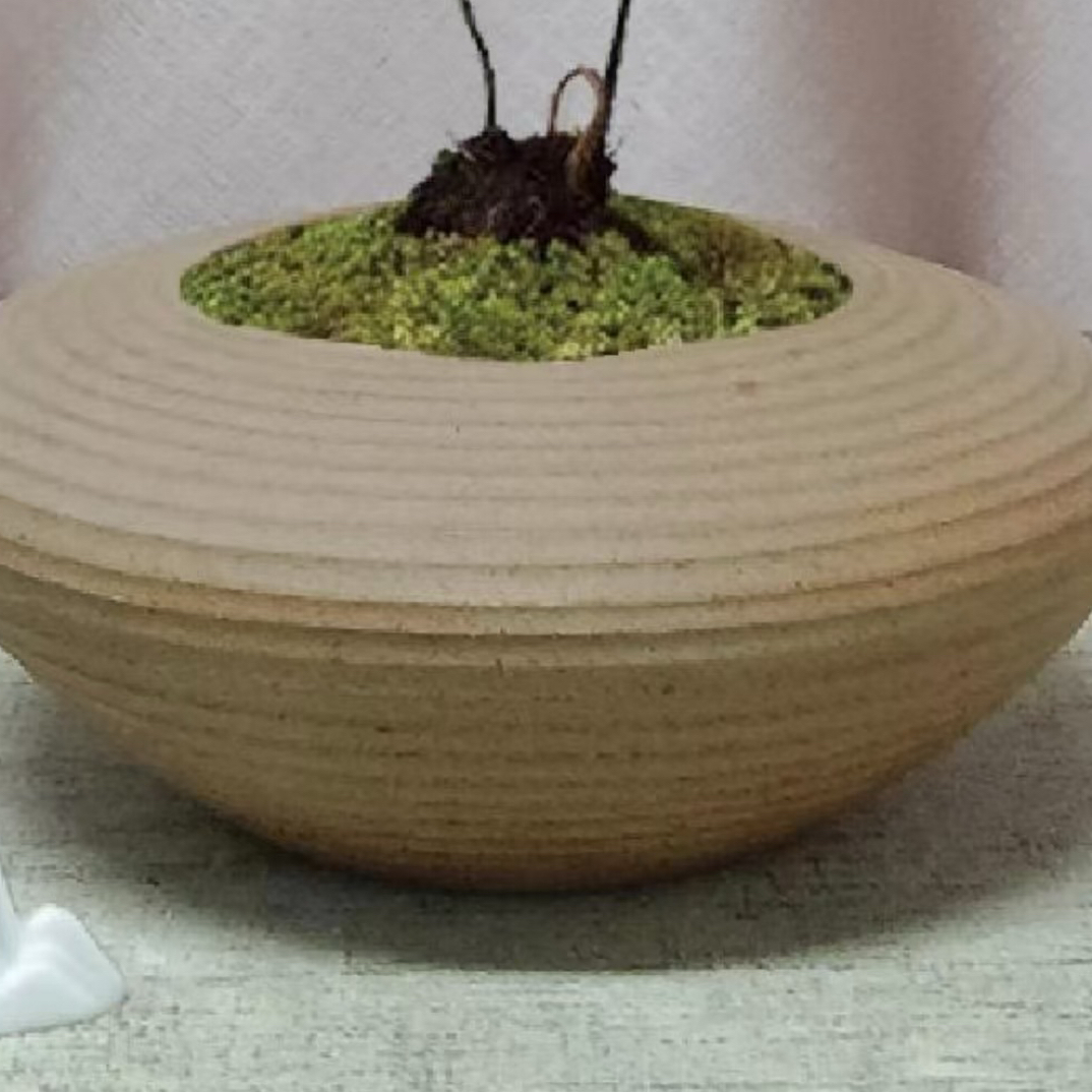 景德镇精品素陶花盆，适合盆栽多肉组盆