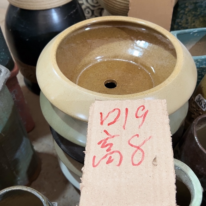 红陶20CM（含）-50CM（不含）