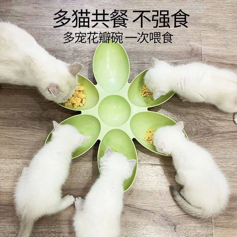 猫舍供应新款创意猫咪食具 花瓣多格猫碗 塑料宠物碗喂食喂水猫碗