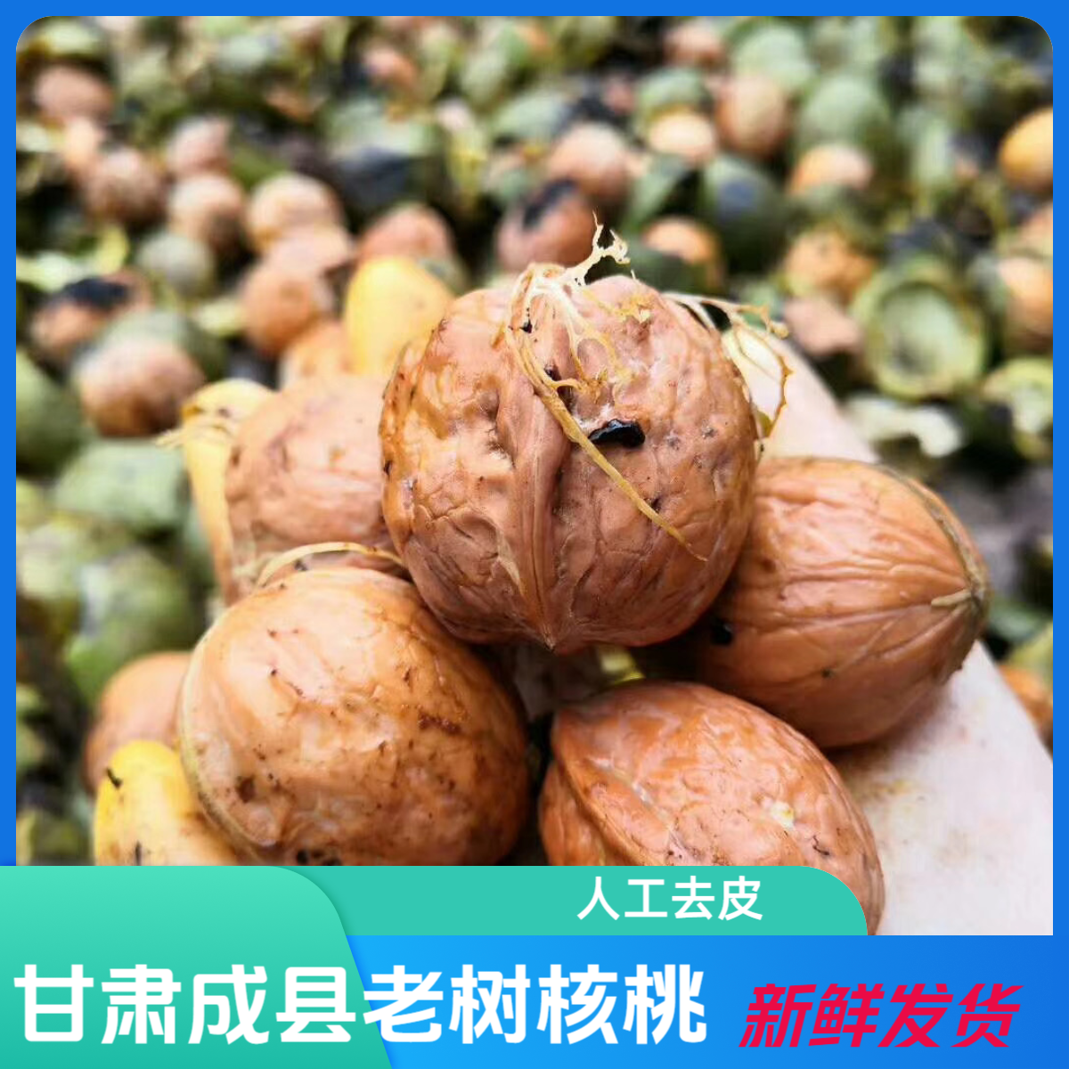 【顺丰包邮】2025新鲜湿核桃去青皮核桃甘肃成县青皮绿皮孕妇生核桃
