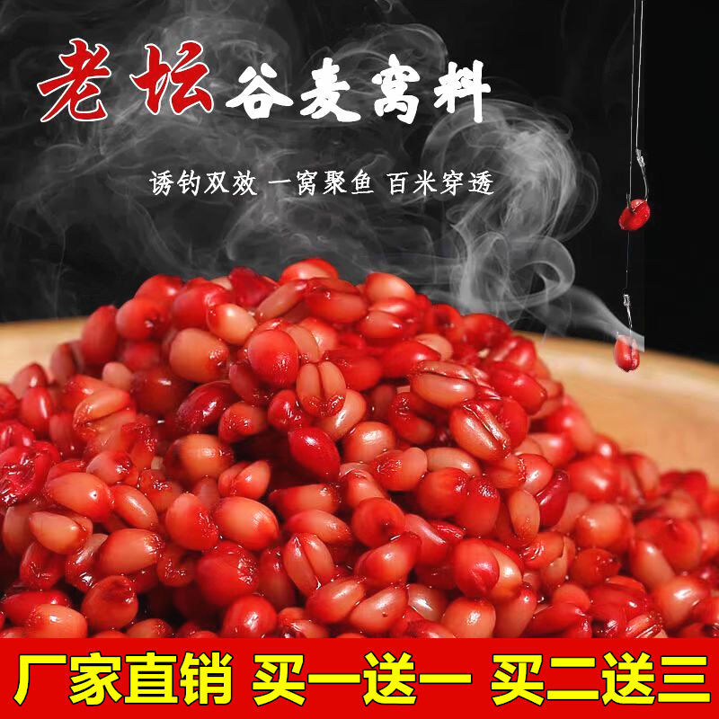 钓鱼野钓大鲫鱼鲤鱼杂粮酒米红虫窝料小麦粒打窝米血麦料饵料底窝