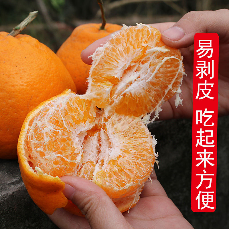 四川春见耙耙柑1-9斤大果新鲜水果不知火丑橘当季桔子橘子柑橘