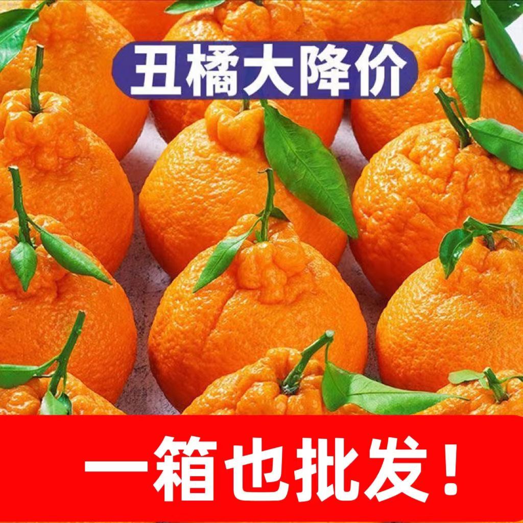 【皮薄肉厚】四川不知火丑橘耙耙柑1-9斤新鲜春见粑粑柑当季水果