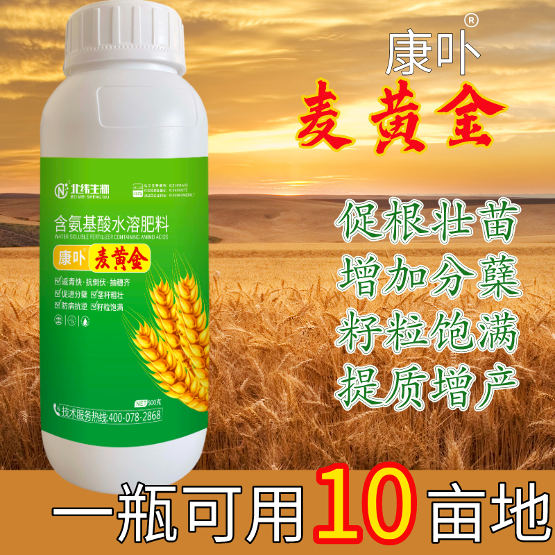 麦黄金小麦增产专用氨基酸叶面肥生根壮苗促分蘖快速灌浆籽粒饱满