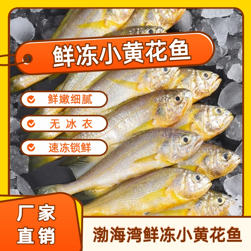 丛漪【4盒】渤海湾鲜冻小黄花鱼高营养鲜嫩深海新鲜冷冻