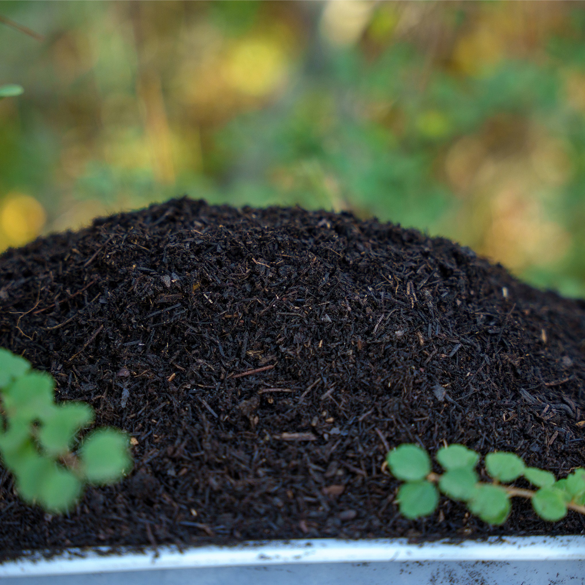家用:有机天然松针腐叶土已发酵园艺养花土改良营养土通用型专用