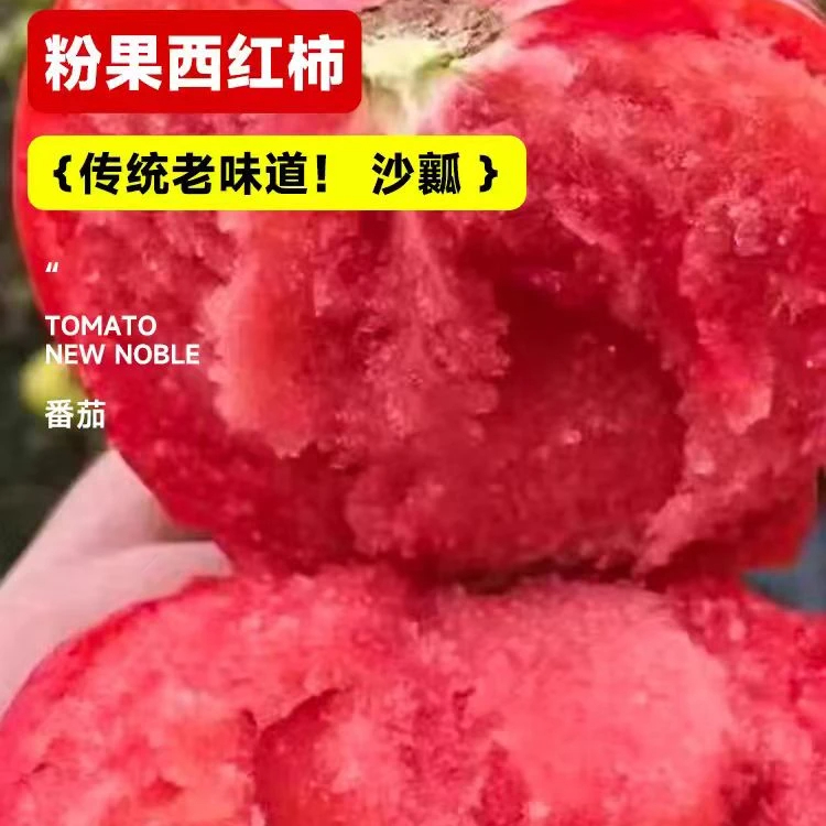 沙瓤西红柿种子四季可种阳台庭院盆栽蔬菜番茄种皮薄肉厚圣女果籽商品图