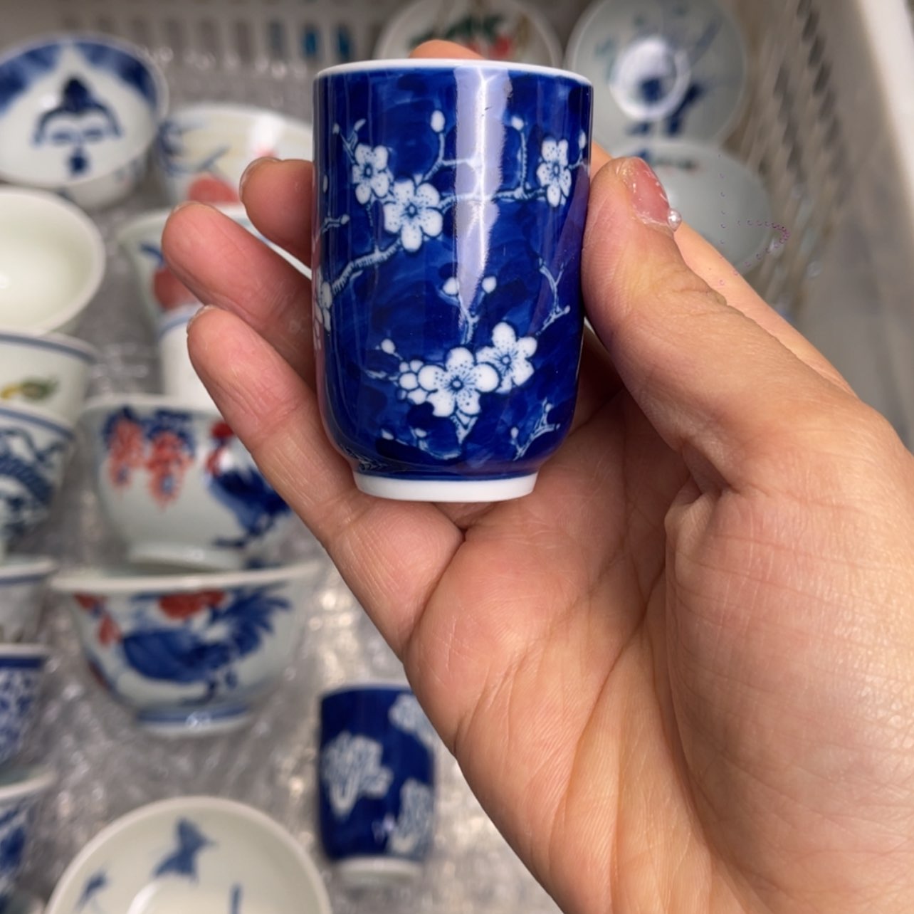 【闪购商品】陶瓷陶瓷