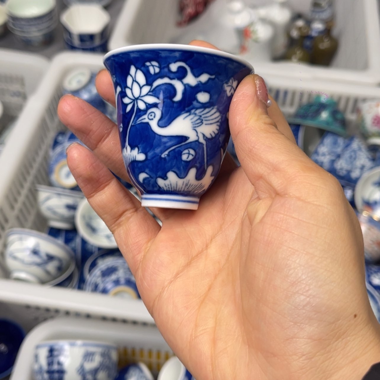 【闪购商品】陶瓷陶瓷