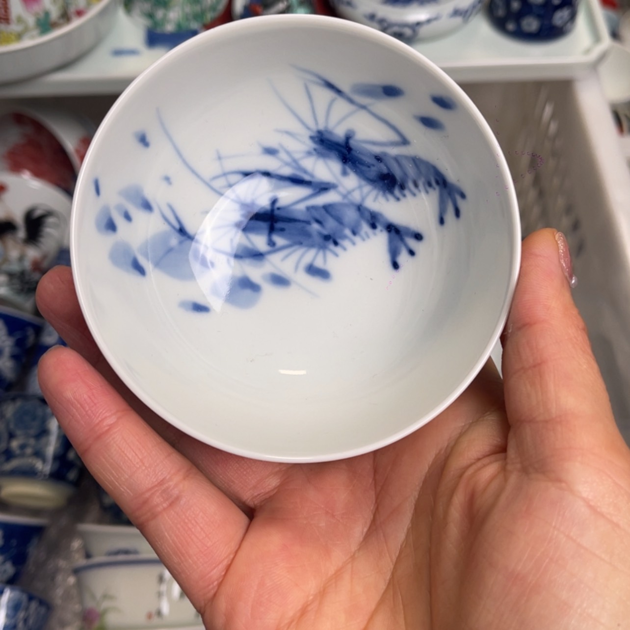 【闪购商品】陶瓷陶瓷