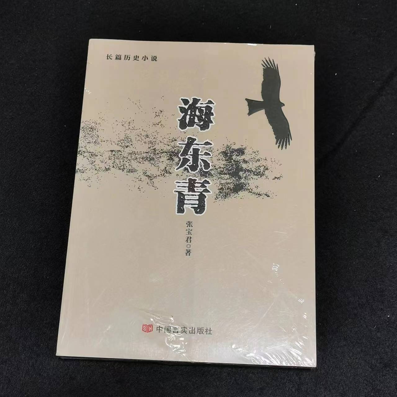 未使用  长篇历史小说《海东青》16开本全新未拆正版图书