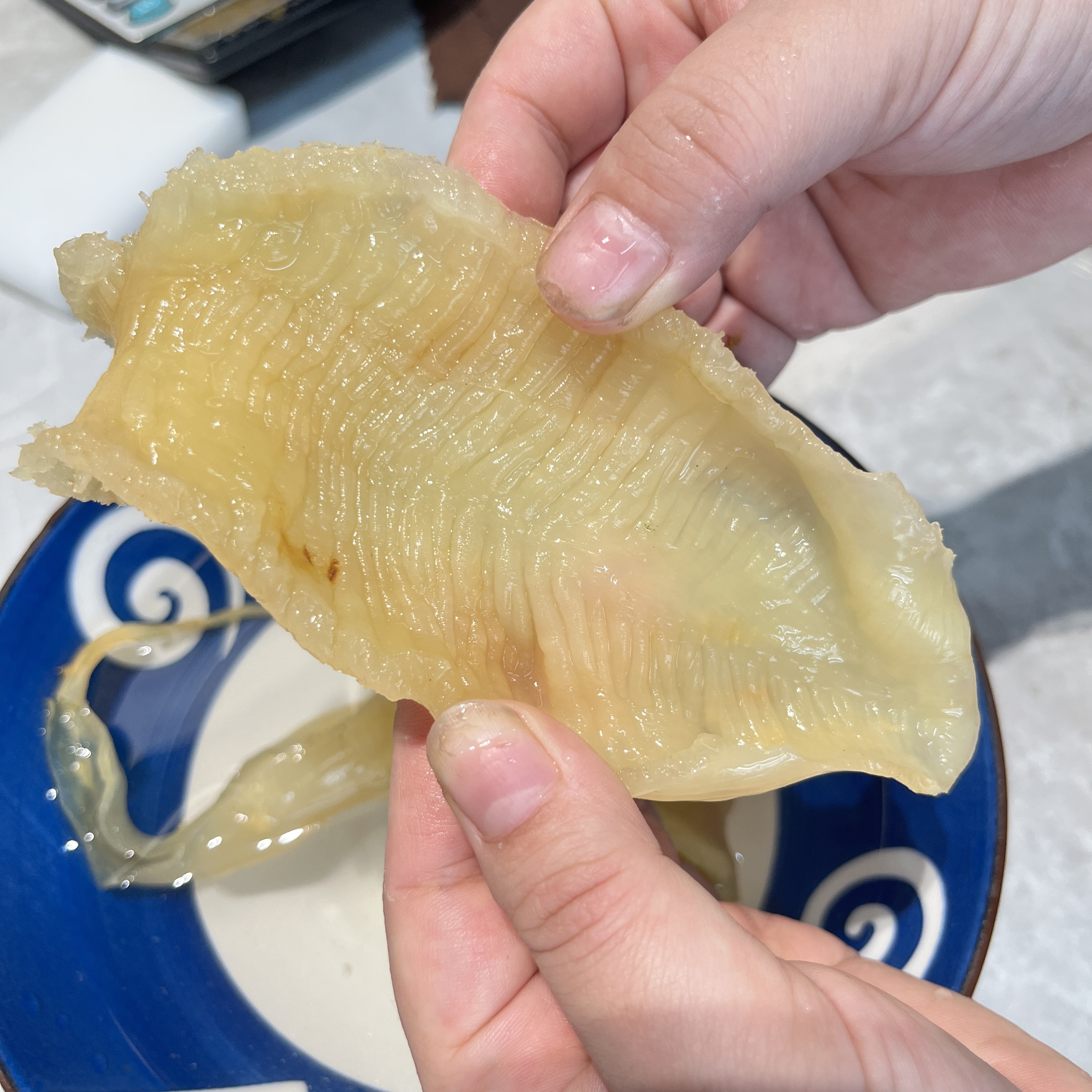 【三三】100头左右柔肉斗湖公鱼胶250g