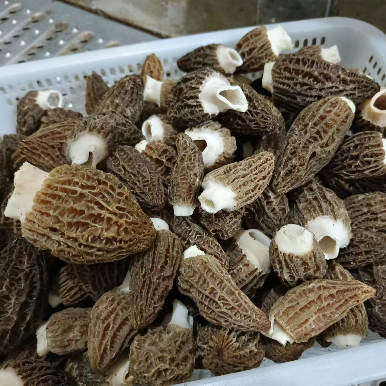菌铭堂云南新鲜原汁常温羊肚菌300g