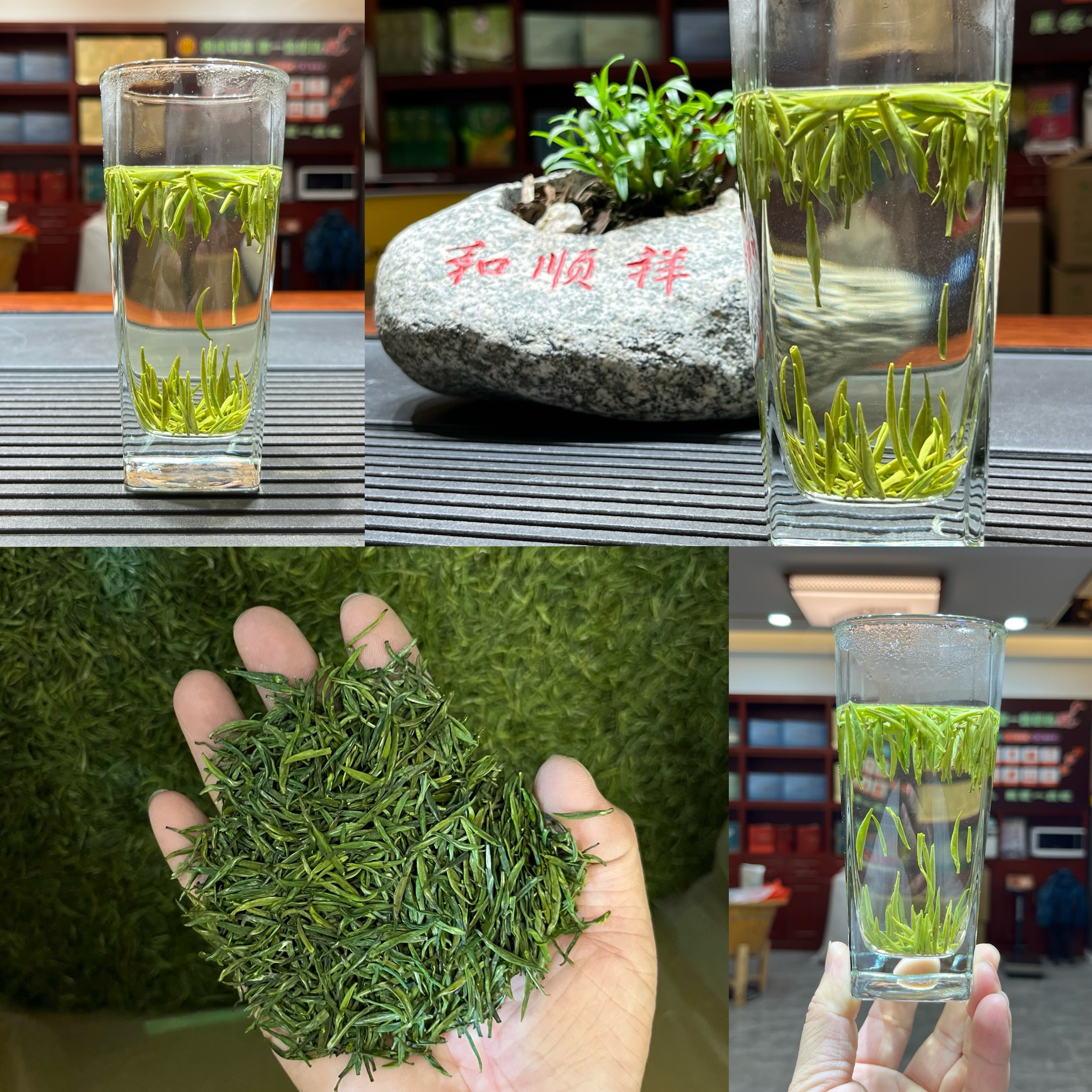 2025雀舌彭洲玉笋湖北省鄂茶杯金奖茶王监制嫩栗香