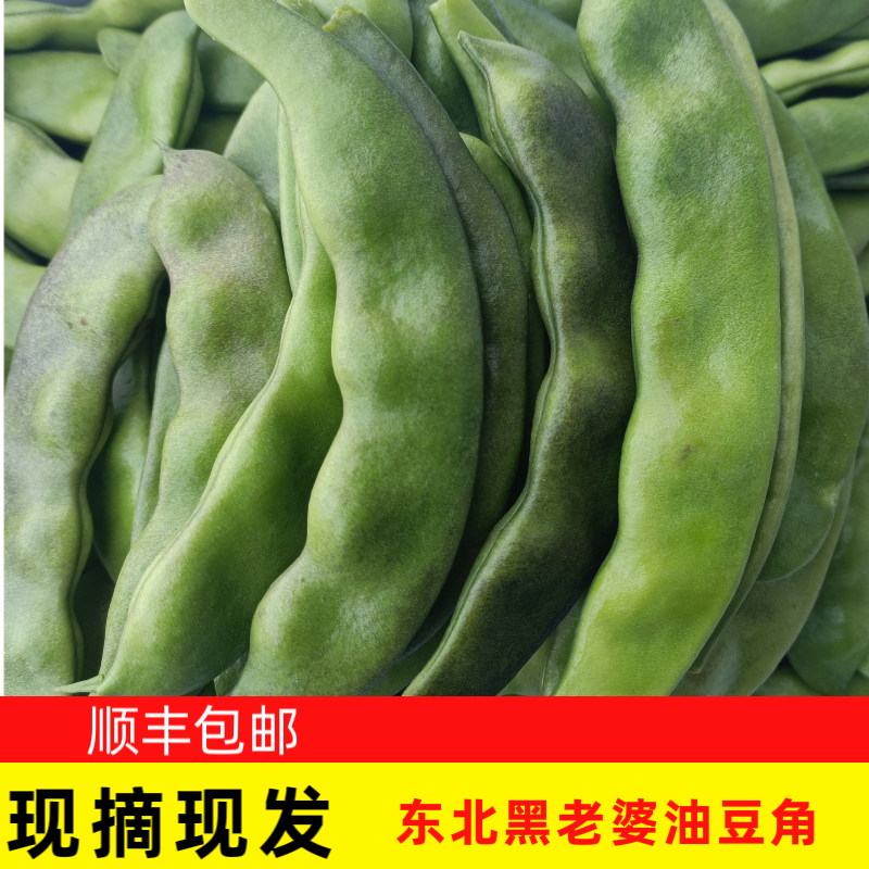 2024年新开元油豆角2斤3斤包邮