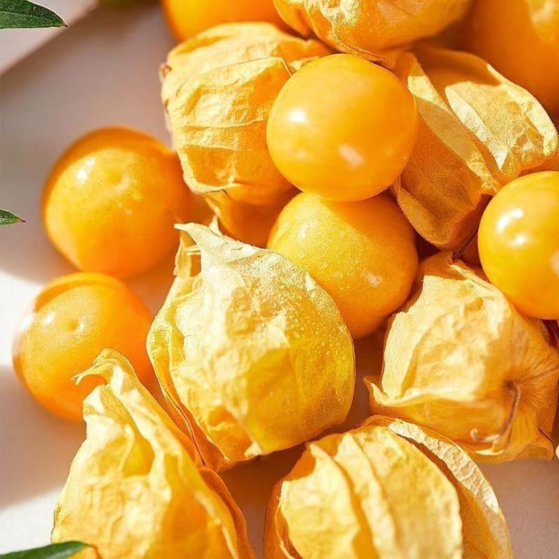 东北头茬姑娘果新鲜采摘当季水果整箱包邮