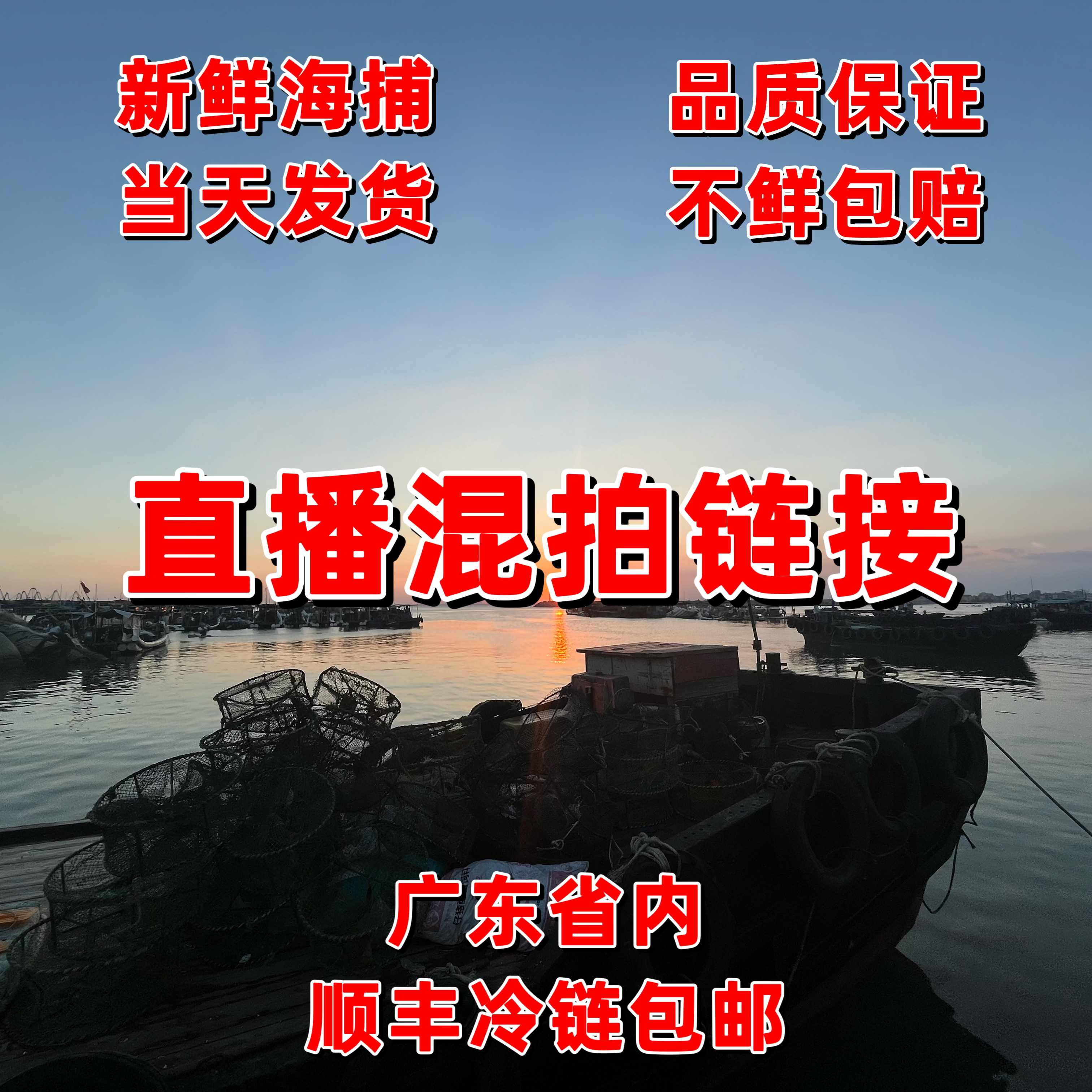  新鲜海鲜直播改价链接①号