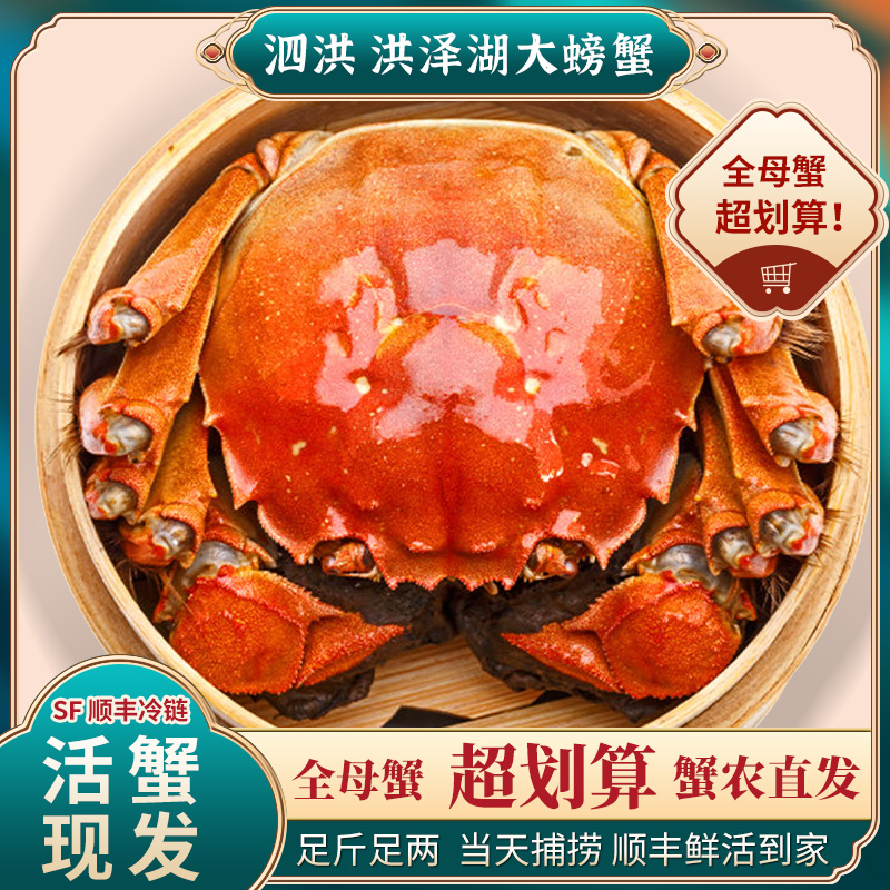 囦囦大闸蟹【活蟹现发】全母蟹2.5-2.2两8只+送2只到手10只全母螃蟹