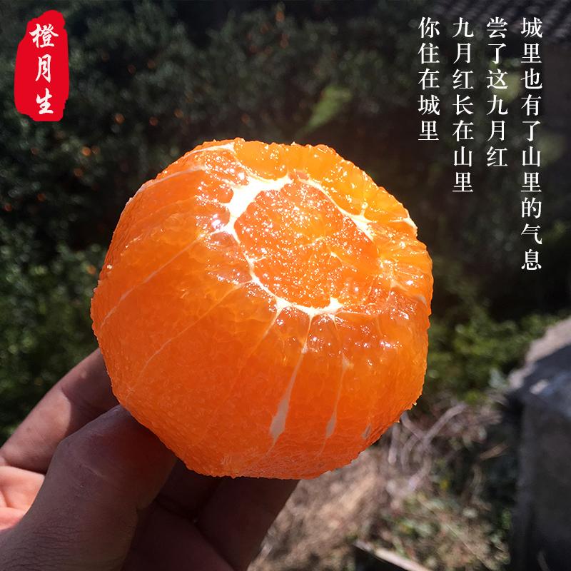 湖北秭归九月红脐橙当季果冻橙新鲜采摘香甜多汁细嫩化渣5斤/9斤