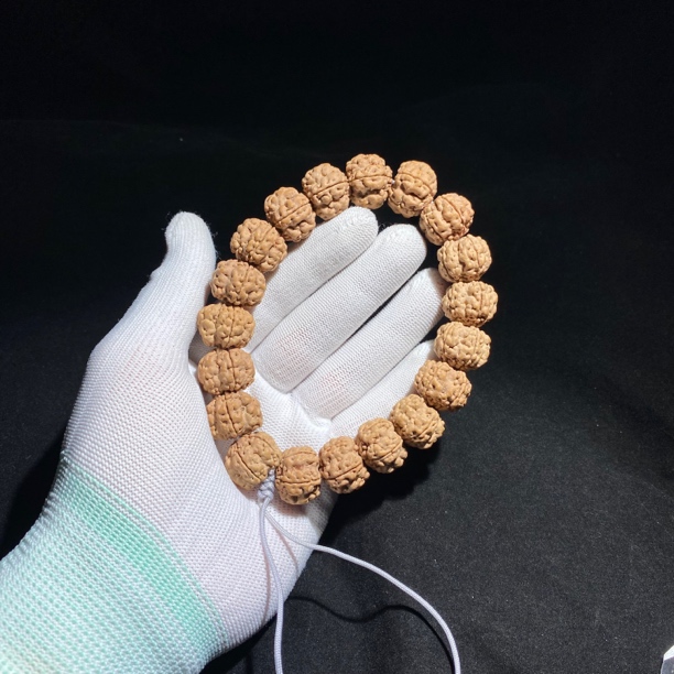 绝情帝王花小金刚手串帝王花小金刚深沟梅花五面十龙深度清理