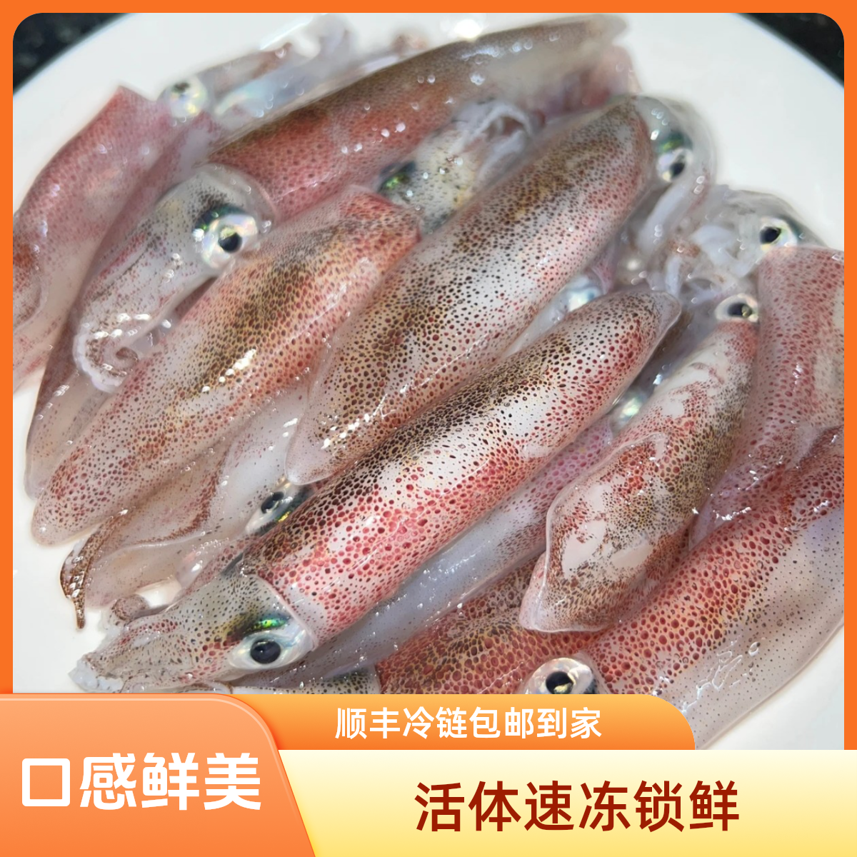 福建省东山岛海鲜特产灯照海捕小管鱿鱼鲜活速冻顺丰冷链包邮到家