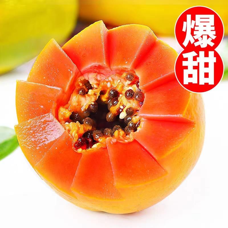 【嘉鑫】红心牛奶木瓜9斤新鲜树上熟应当季孕妇水果冰糖青木瓜整箱