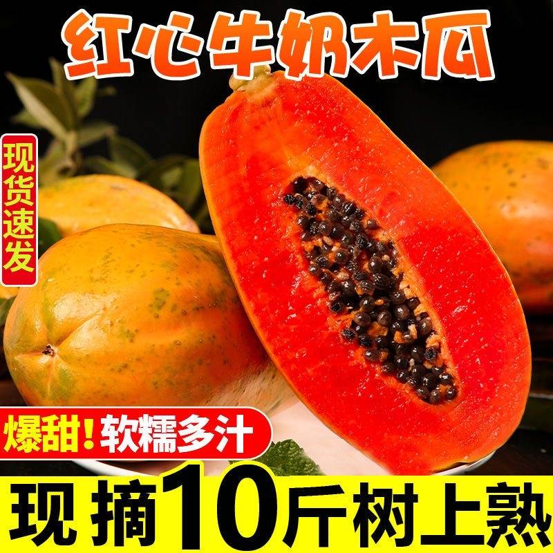 【嘉鑫】红心牛奶木瓜9斤新鲜水果整箱包邮当季孕妇下奶冰糖青木瓜