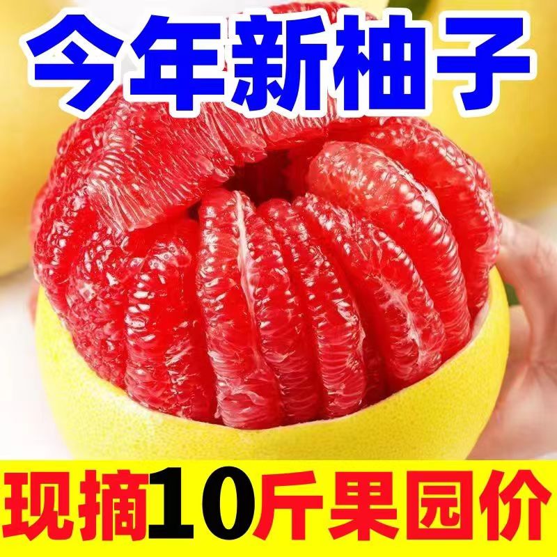 【嘉鑫】9-10斤包甜红心柚子大果孕妇当季饮品商用轻食水果新鲜团购