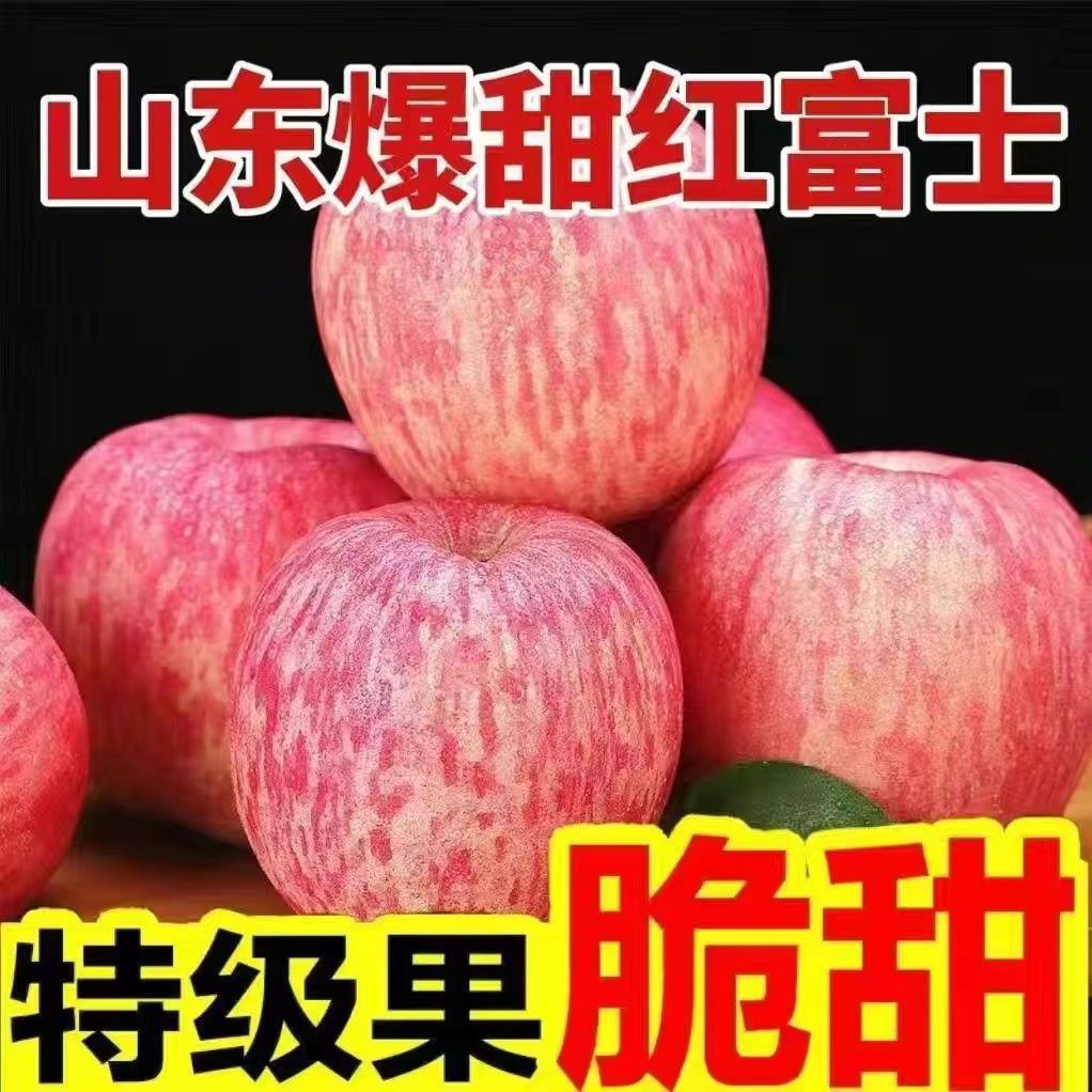 【嘉鑫】自家果园山东现摘红富士苹果 皮薄汁多清爽甘甜不打蜡带皮