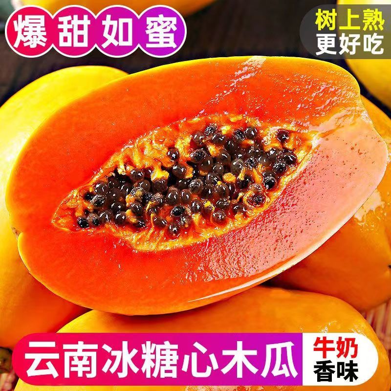 【嘉鑫】【爆甜】云南红心木瓜新鲜水果牛奶冰糖心木瓜牛奶正宗大果