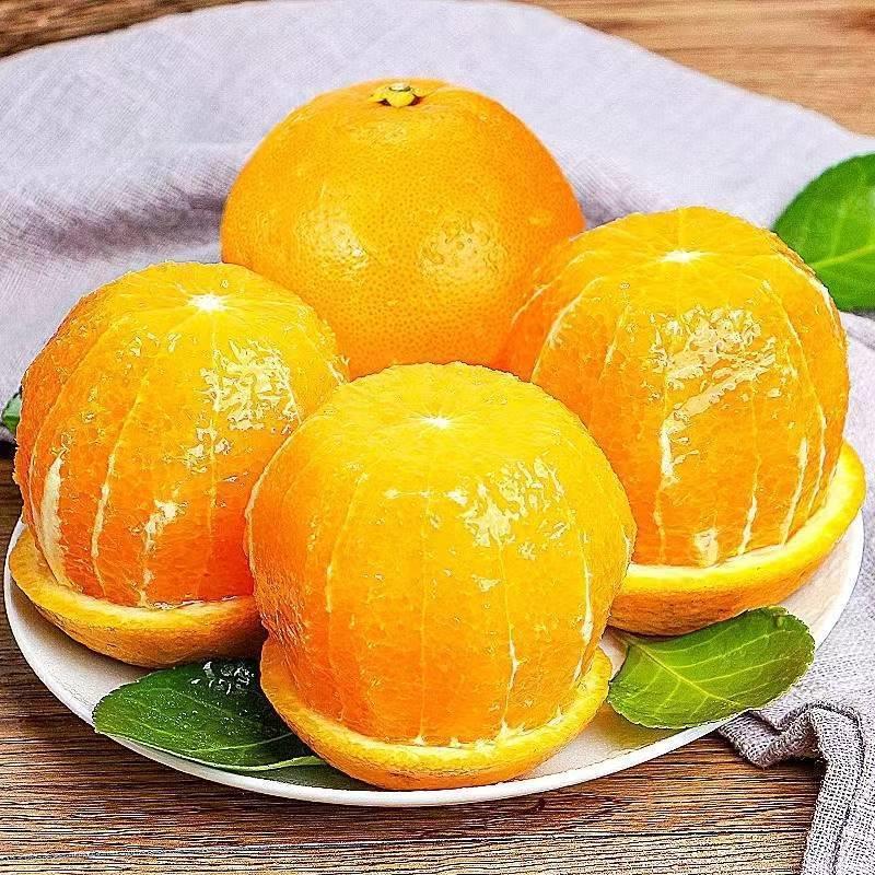 【嘉鑫】正宗麻阳冰糖橙9斤新鲜果冻甜橙水果湖南应当季手剥橙整箱
