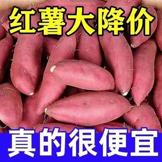 【嘉鑫】【超便宜】河南新鲜红薯西瓜红蜜薯农家自种沙地西瓜红烤地瓜