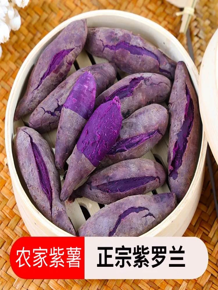 【嘉鑫】紫薯新鲜农家自种紫罗兰蜜薯10斤沙地红薯糖心甜山芋番薯蔬