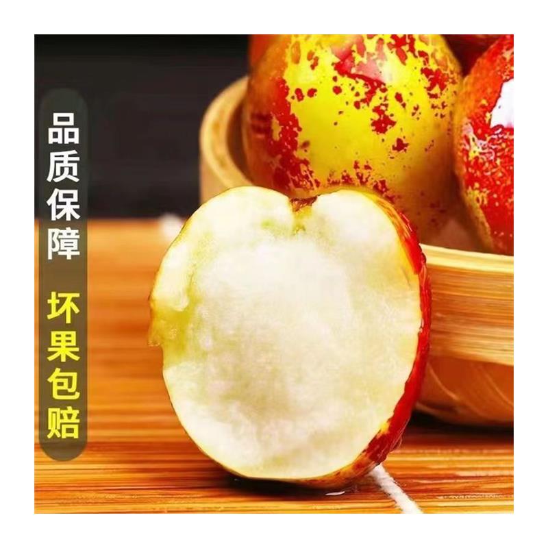 【嘉鑫】山东沾化冬枣新鲜水果5斤现摘现发当季水果整箱大枣脆甜枣
