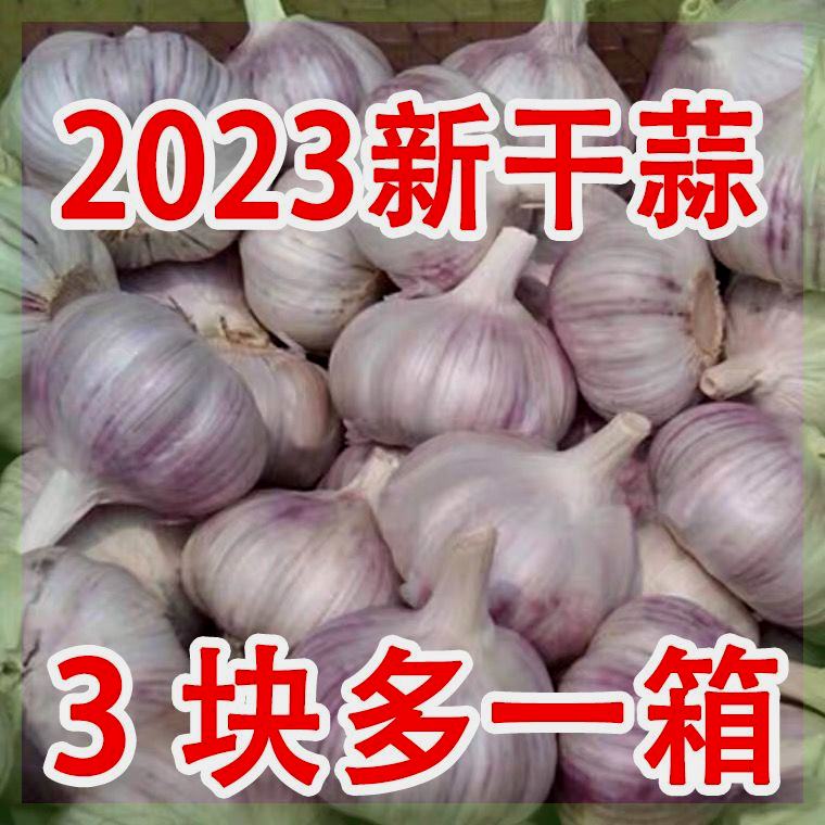 【嘉鑫】新干大蒜头5斤山东紫皮大蒜头干大蒜10斤新鲜干蒜头蒜种当