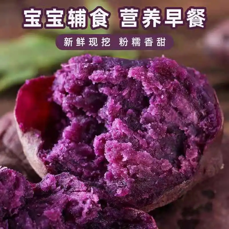 【嘉鑫】【粉糯香甜】新鲜沙地紫薯板栗地瓜红薯番薯蜜薯批发2/3/5/10