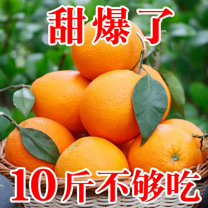 【嘉鑫】【现货秒发】爆甜脐橙子新鲜10斤应季水果薄皮甜橙果冻橙