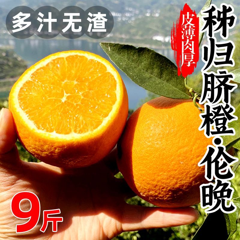 【嘉鑫】赣南脐橙伦晚甜橙子秭归当季应季新鲜水果伦晚橙整箱量大从