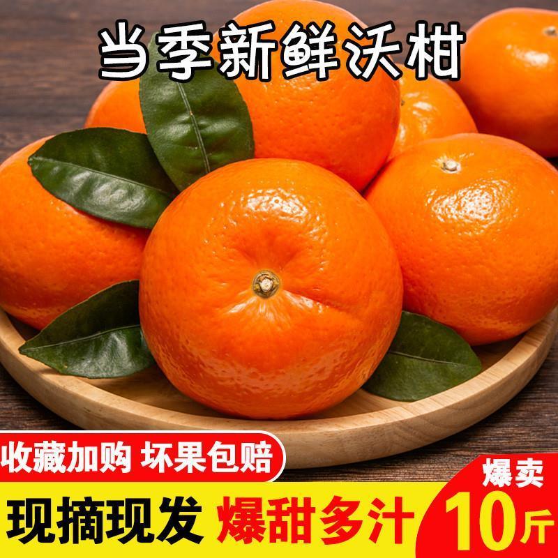 【嘉鑫】新鲜沃柑纯甜沃柑武鸣1斤水果当应季5斤9斤特橘子时令桔子