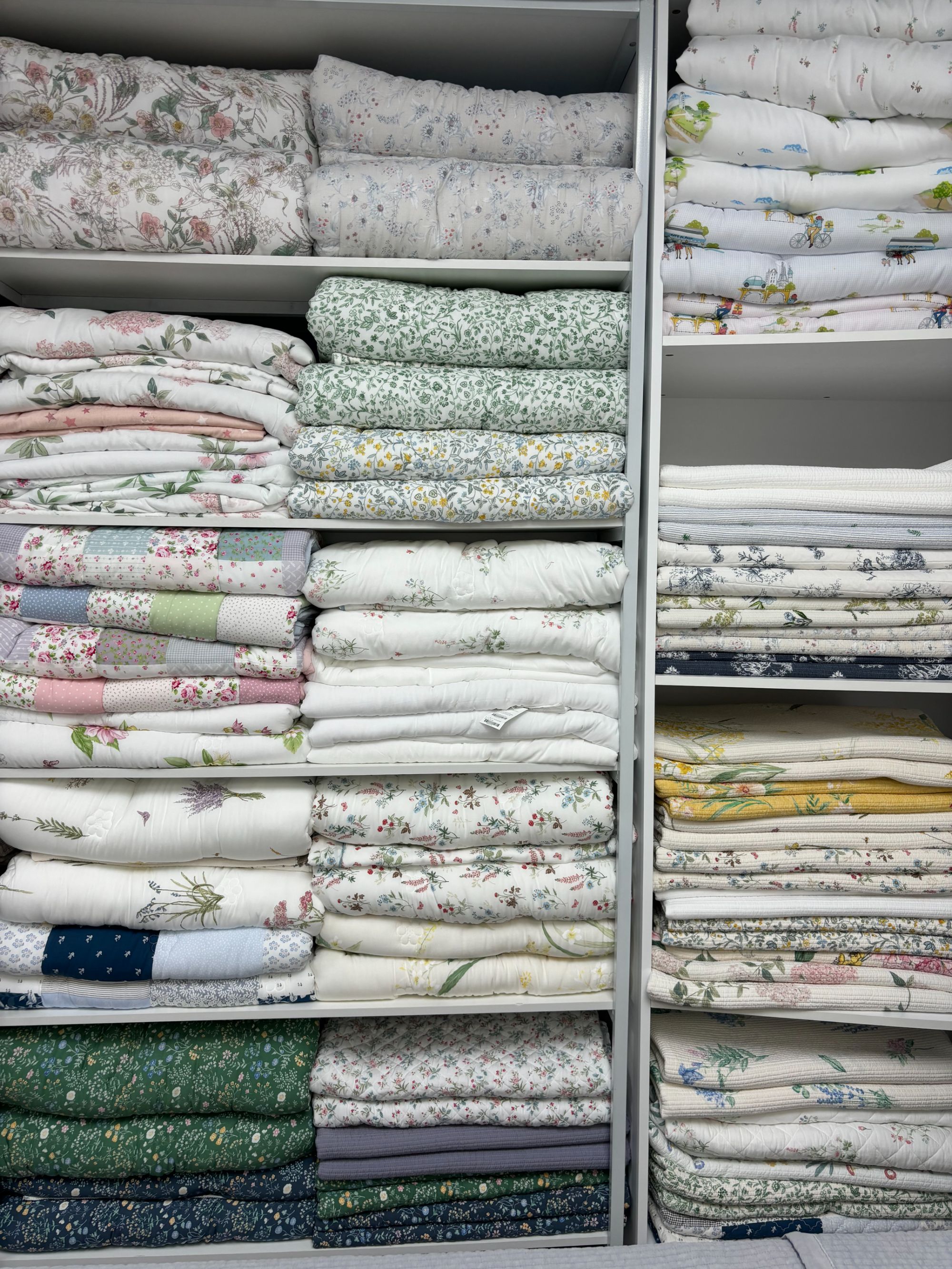 福利款韩国榉木纤维被