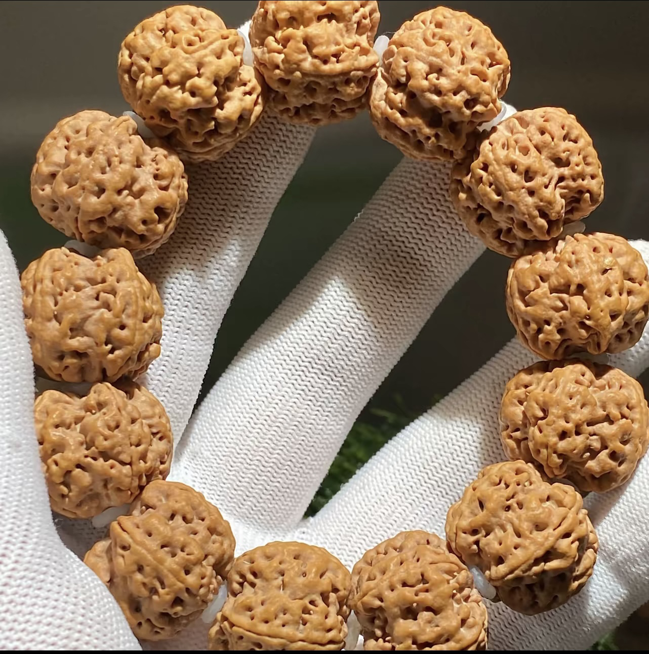 古龙双龙龙爪梅花手串尺寸202120龙脊突出颗颗带五爪原生态老树籽