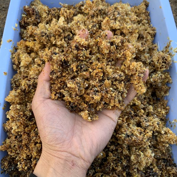 中蜂巢蜡渣诱蜂蜡封盖蜡中蜂蜜蜡渣可提取纯蜂蜡泡酒土蜂蜡巢脾蜡