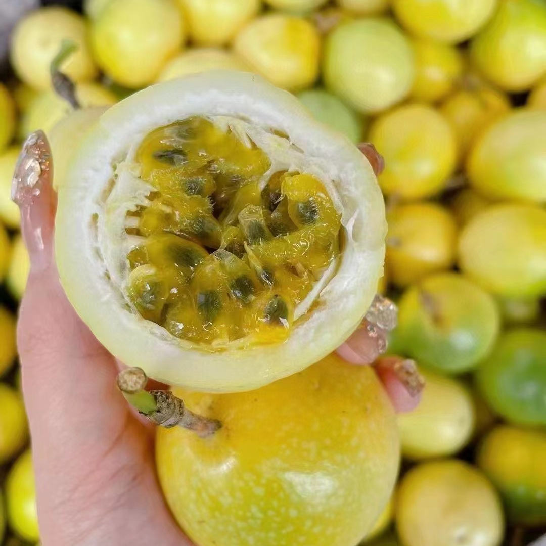 黄金百香果 钦蜜9号 果子放黄口感纯甜无酸