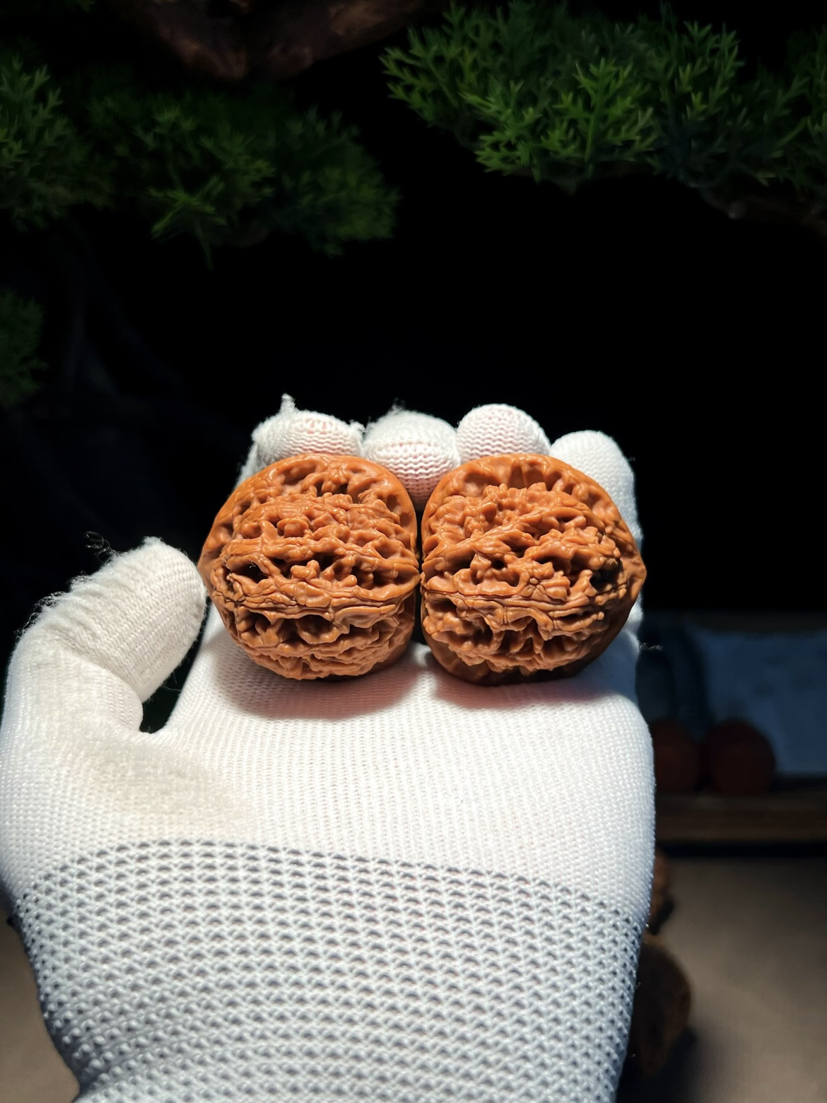 46水龙纹文玩核桃