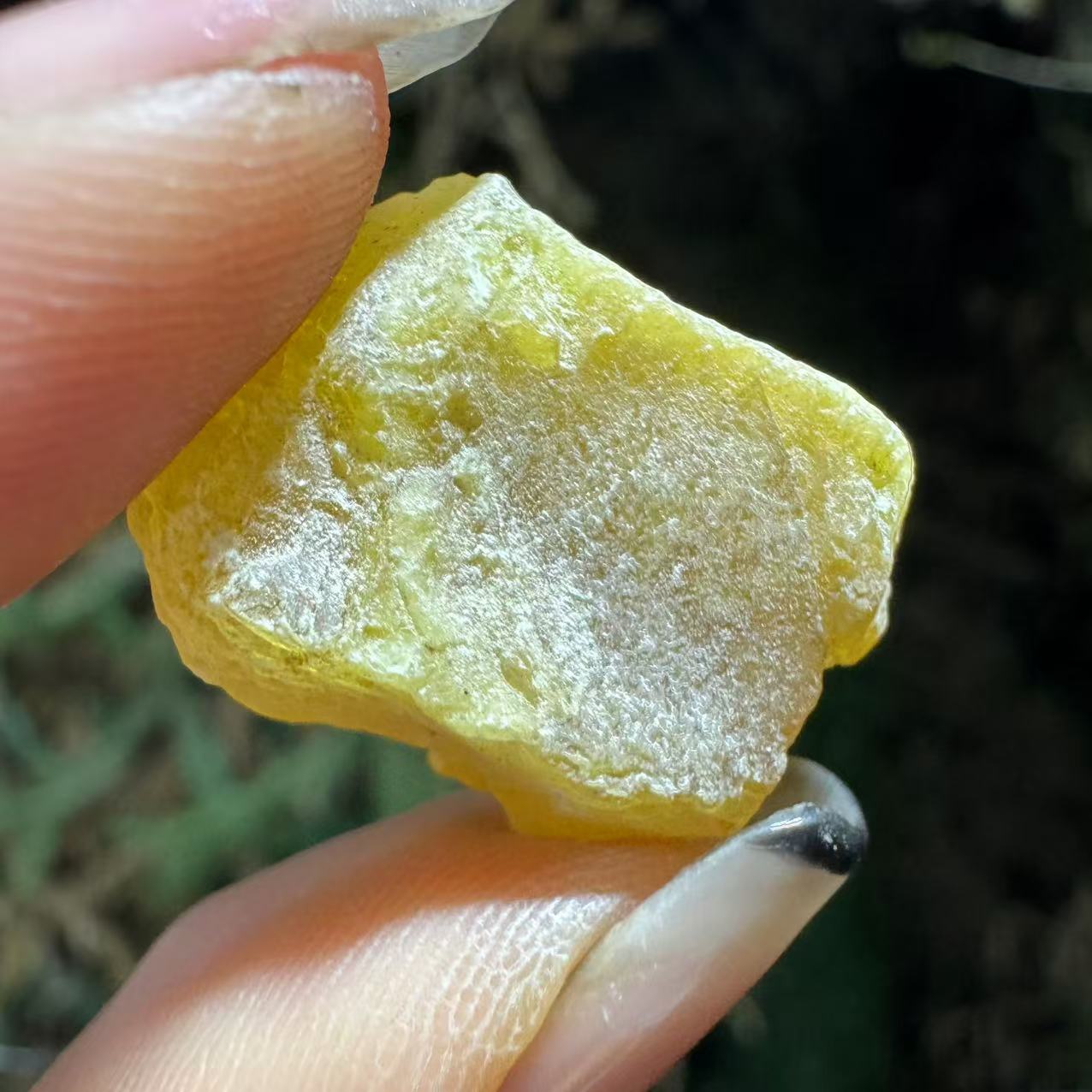 1【R-X】 枸 净含量：250g-500g【阿虎现收】