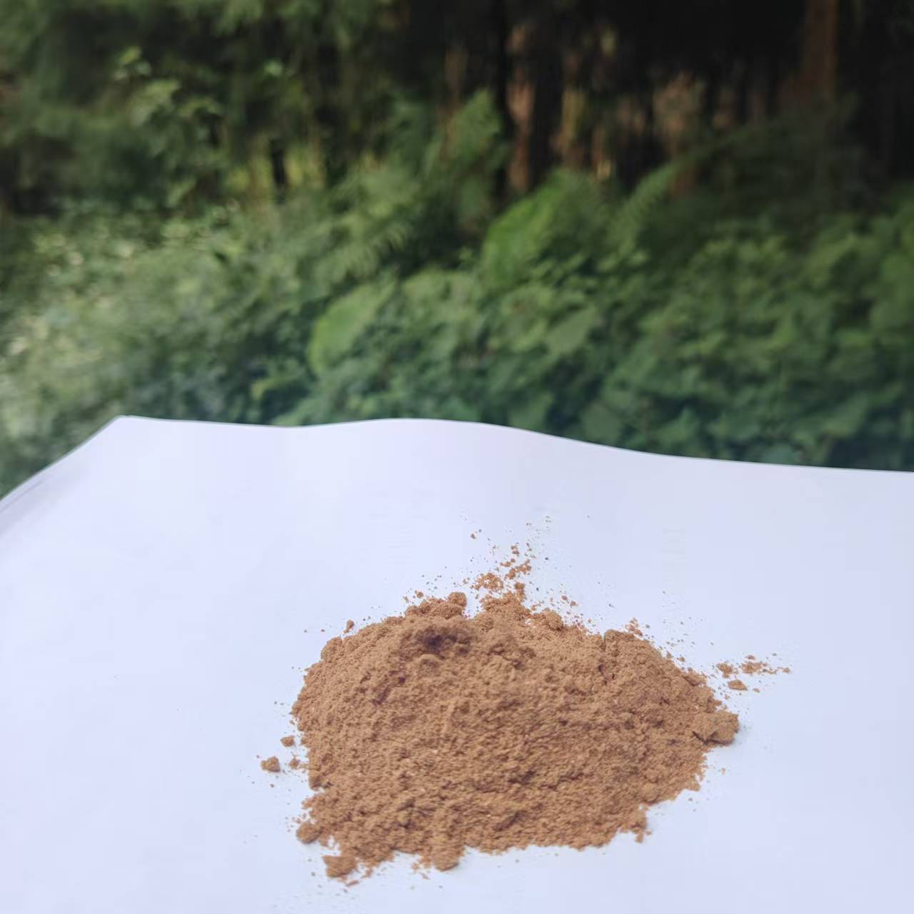 2【L-T-F】杞 净含量：50-500g【小田现收】枸